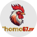 thomo67run avatar